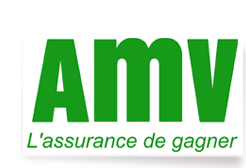 logo_amv